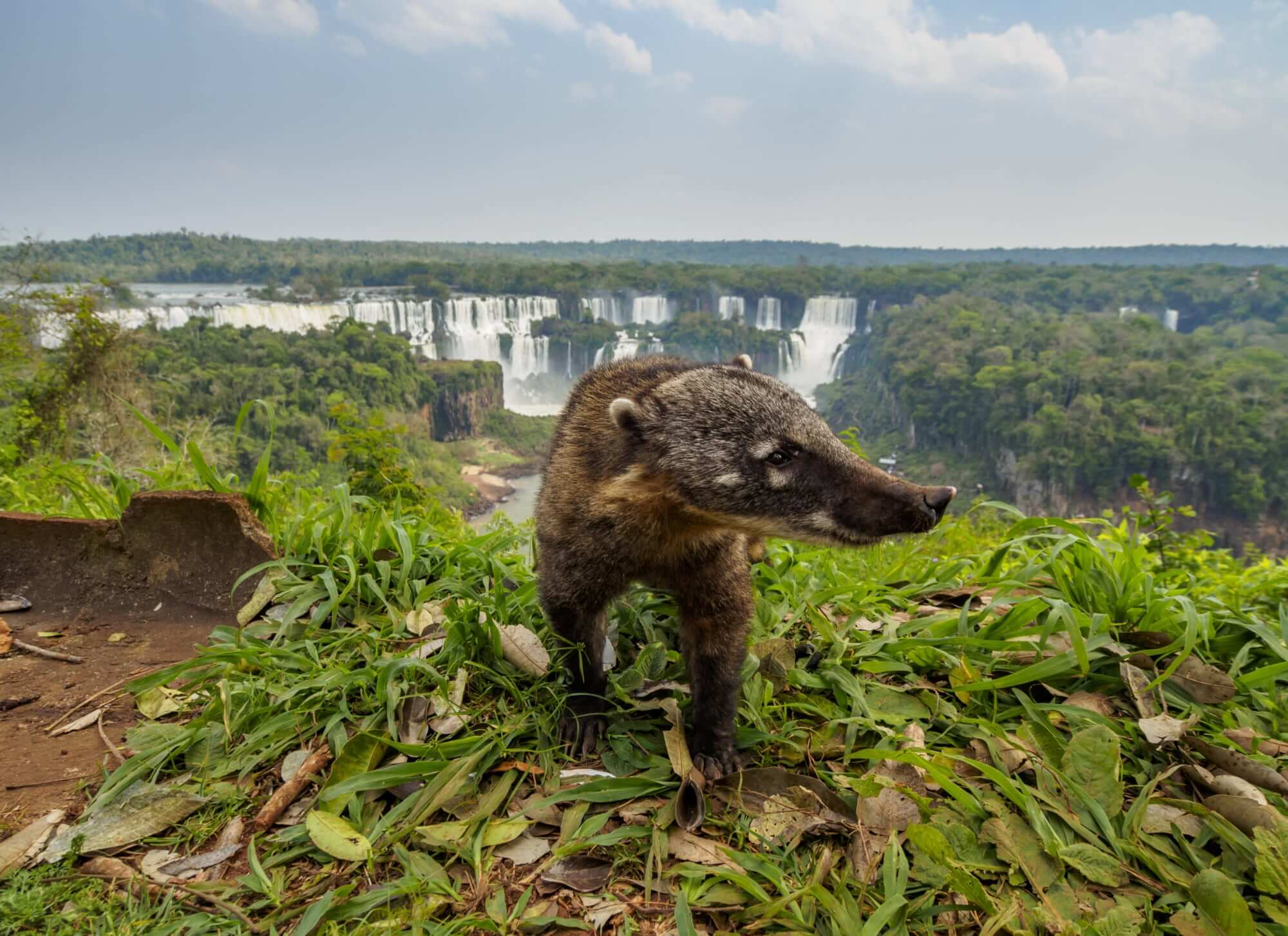 Iguazú, One of the 7 Natural Wonders of the World